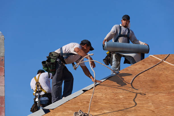 Quick and Trustworthy Emergency Roof Repair Services in Duluth, WA