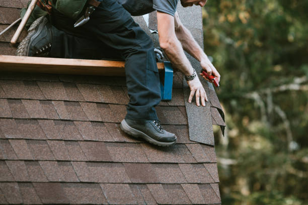 Best Metal Roofing Contractor  in Duluth, WA